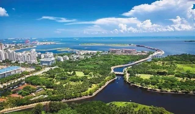 1602123702883024994.jpg 5.jpg