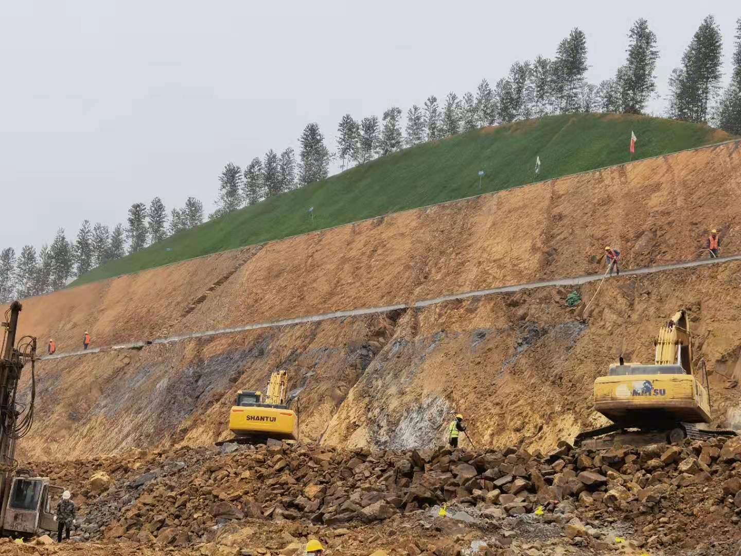 1615372446458059393.jpg image003.jpg