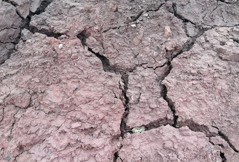 1615372587725004437.jpg image006.jpg