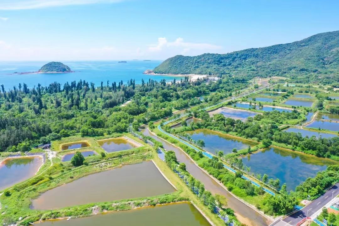 1668155688560097625.jpg 2.jpg