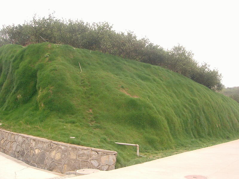 1690788884941093246.jpg 2003.jpg