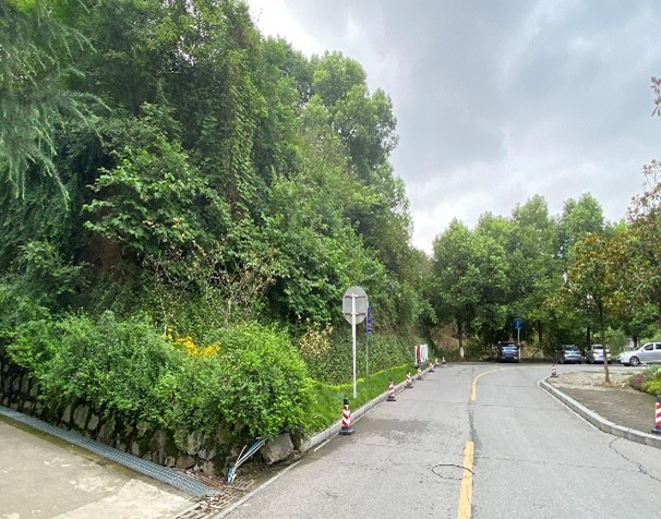 1690789202746051410.jpg 圖片5.jpg