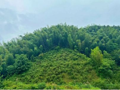 1720146376913014322.png image.png