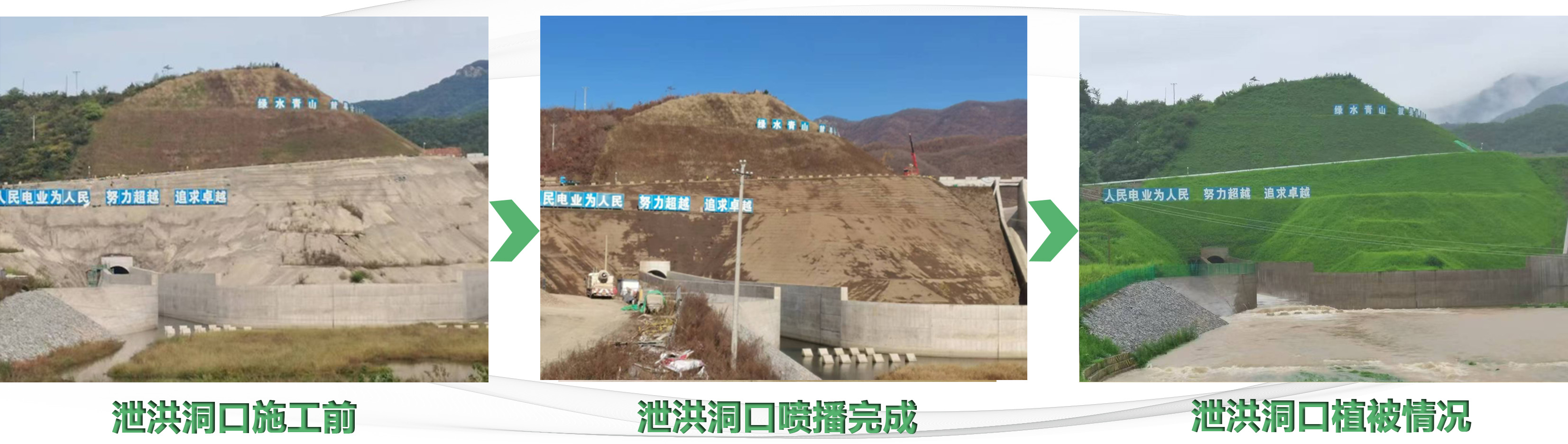 1765332189325031121.jpg 222.jpg