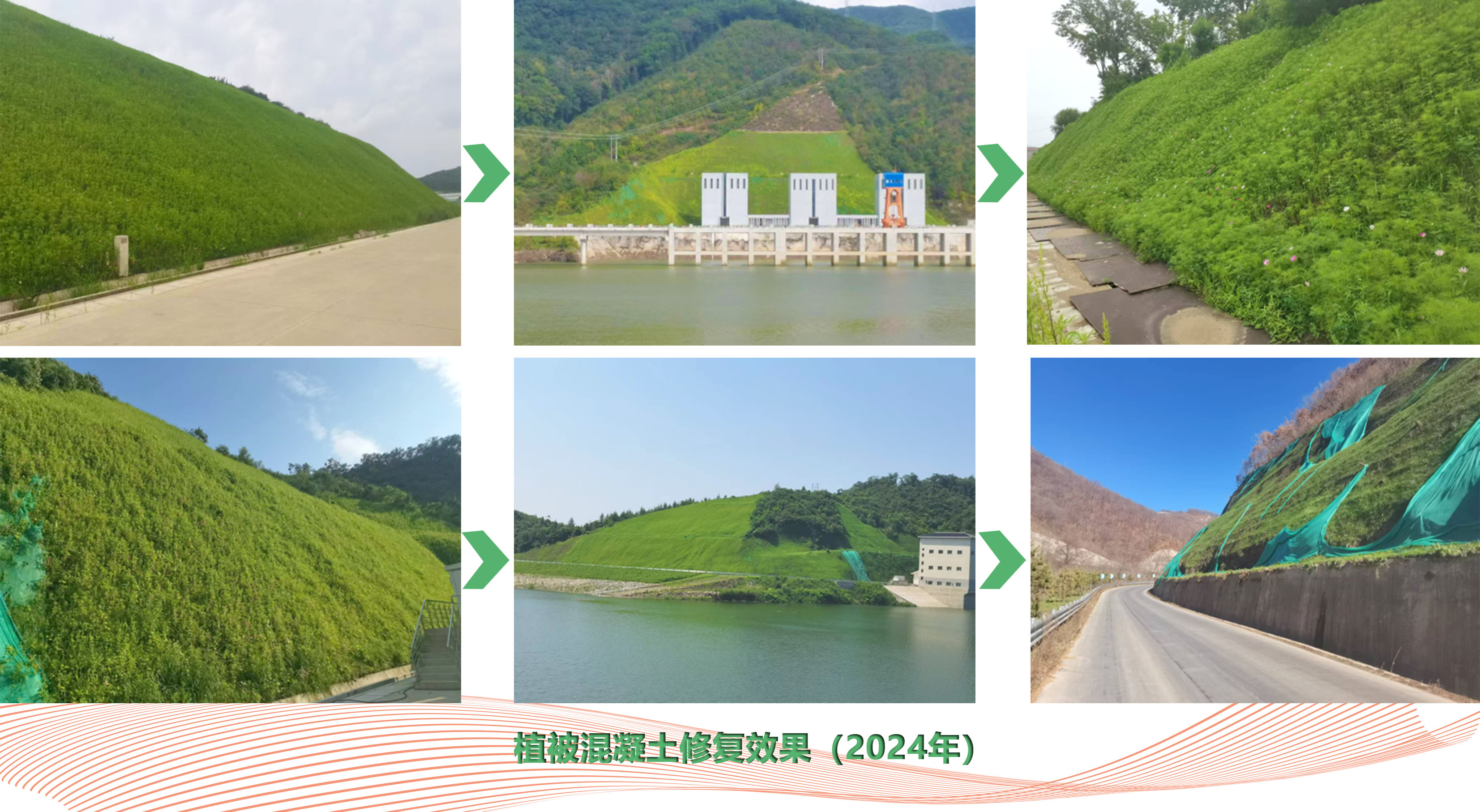 1765332212452093071.jpg 333.jpg